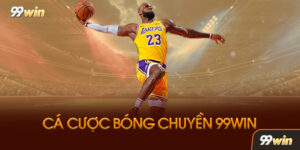 Tại Sao Cá Cược Bóng Chuyền 99win Lại Hấp Dẫn Đến Vậy?
